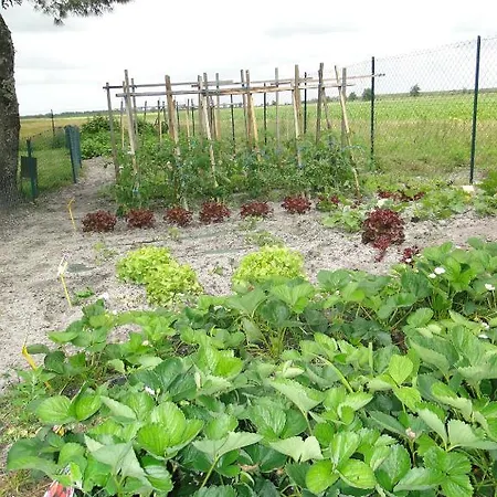 D'hôtes L'airial 3* Liposthey