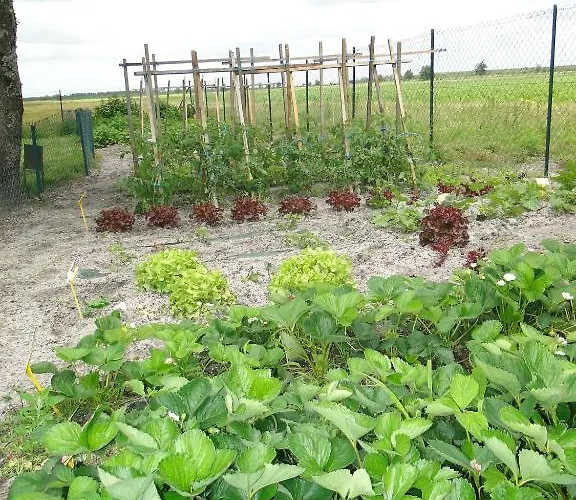 Chambre D'hotes L'airial 3* Liposthey